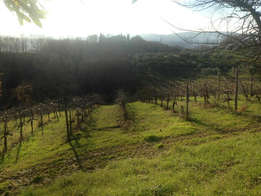 Podere San Lorenzo Terranuova Bracciolini Kültér fotó
